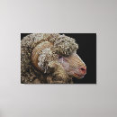 Recherche de moutons de art Nature