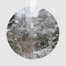 Recherche de neigeux ornements Hiver