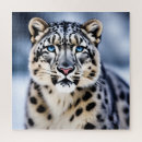 Search for snow leopard puzzles Wildlife