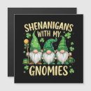 Search for gnomie magnets Leprechaun