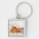 Search for fragility keychains Shell