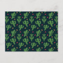 Search for arid horizontal postcards Cacti