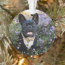 Search for french bulldog christmas decor Domestic animals