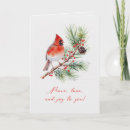 Search for red cardinal bird cards Nature