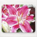 Search for stargazer mousepads Lilies