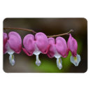 Recherche de saint valentin cartes Amour