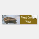 Search for funny sayings on car accessories Humor