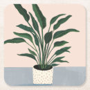 Recherche de plantes dessous de verres Botanique