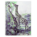 Search for giraffe notebooks Zebra