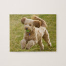 Search for tennis ball puzzles Fetch