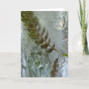 Search for ferns cards Summer