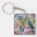 Search for budgies keychains Parrot
