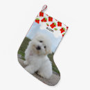 Search for photo christmas stockings Dog bone