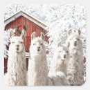 Recherche de llama autocollants Animaux