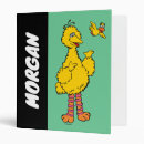 Search for big bird binders Cute