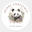 Search for panda name stickers For kids