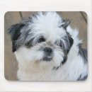 Recherche de cuties tapis souris Animal