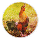 Search for crow knobs and pulls Bird