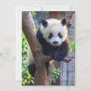 Recherche de chengdu vœux cartes Animaux dans la nature