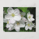 Search for photography photograph postcards Colourful