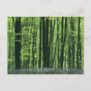 Search for beech postcards Travel