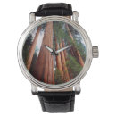 Search for growth watches Branch
