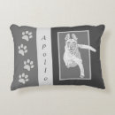 Recherche de malinois belges coussins Pour tous