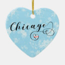 Search for illinois ornaments Chicagoan