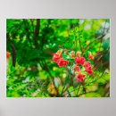 Search for tropical flowers posters Botanical