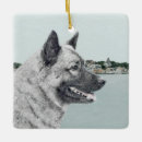 Search for norwegian ornaments Elkhound