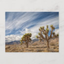Search for two objects postcards Colour image