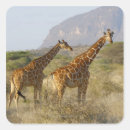 Search for reticule Kenya