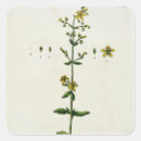 Recherche de century autocollants Fleurs