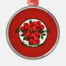 Search for hibiscus ornaments Green