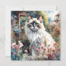 Search for ragdoll cat cards Himalayan