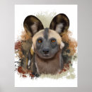 Search for african wild dogs posters Painted dog