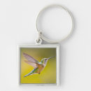 Search for the county keychains Bird