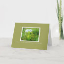 Search for annes cards Queen annes lace