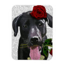 Recherche de chien labrador magnets Fleurs