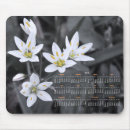 Search for clusters photography Macro