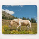 Search for cascades mousepads North cascades national park