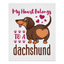 Search for weenies posters Doxie
