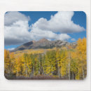 Search for ruby wood Fall