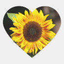 Search for sun shape stickers Sunflower