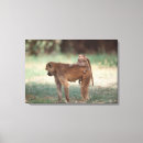 Search for guidance canvas prints Outdoors