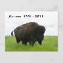 Search for great plain postcards Bison