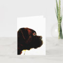 Recherche de boxeurs vœux cartes Animaux domestiques