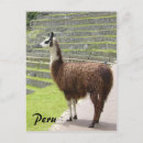 Recherche de peru cartes postales Pérou