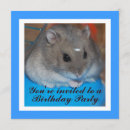 Search for hamster birthday invitations Cute