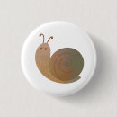 Search for snail buttons Animals